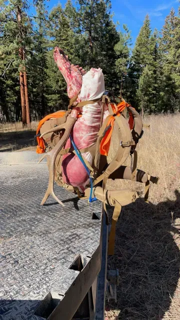 Backpacks & Gear cover