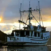 Alaska Coastal Outfitters