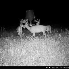 Photo by BR Outfitters