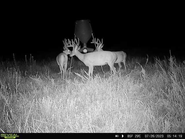 Enlarged photo by BR Outfitters