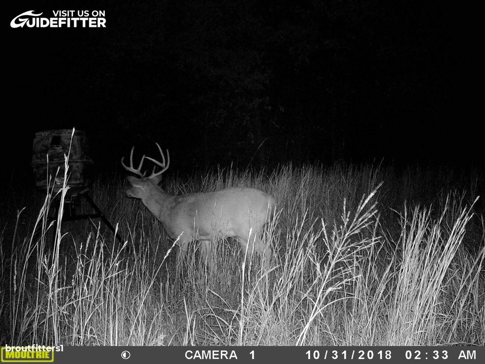 Enlarged photo by BR Outfitters