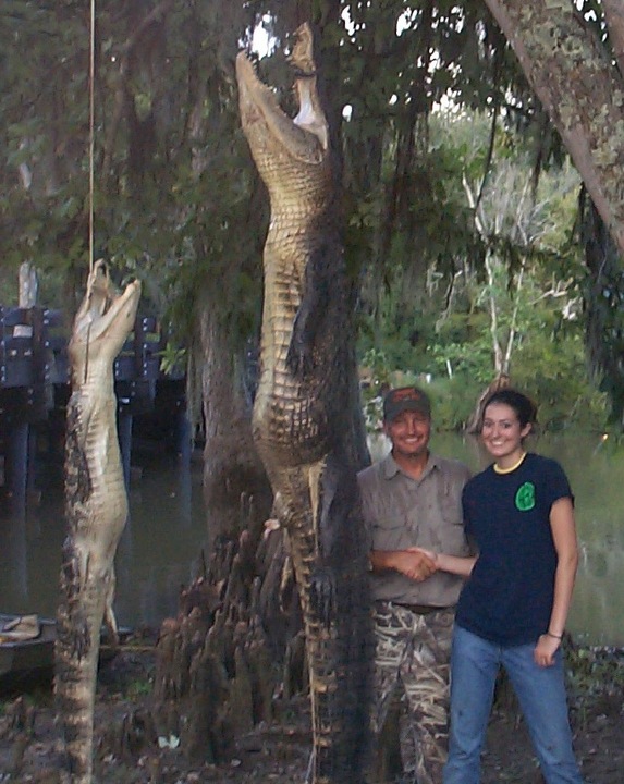 Louisiana Trophy Alligator Hunts