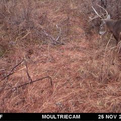 Photo by BR Outfitters