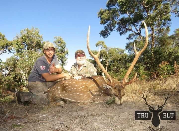 Rusa Deer Hunting in South Australia Tru Blu Hunting