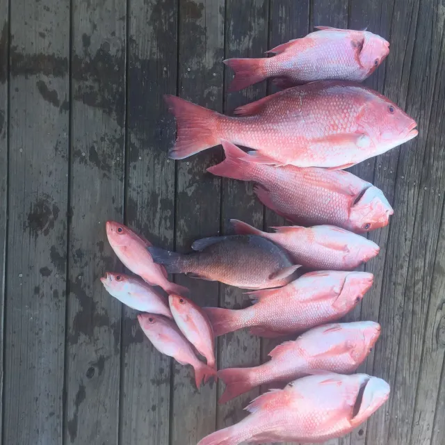 I own an off shore charter fishing business out of New Sm...