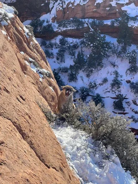 Backpacks & Gear cover