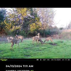 Only two weeks left for the Kansas Non-resident tag application process. Ends April 26th.
#3