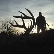 Shane Smith