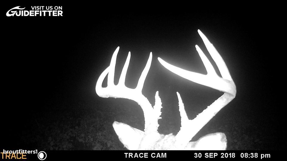 Enlarged photo by BR Outfitters