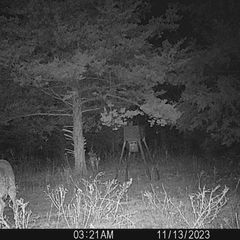 #3 finally getting interesting. We are 10-12 days late on rut activity. Find us on FB.