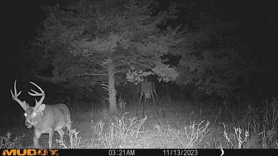 #3 finally getting interesting. We are 10-12 days late on rut activity. Find us on FB.