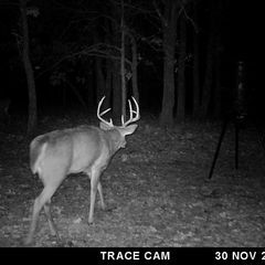 Photo by BR Outfitters