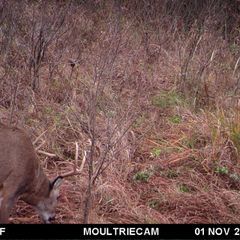 Photo by BR Outfitters