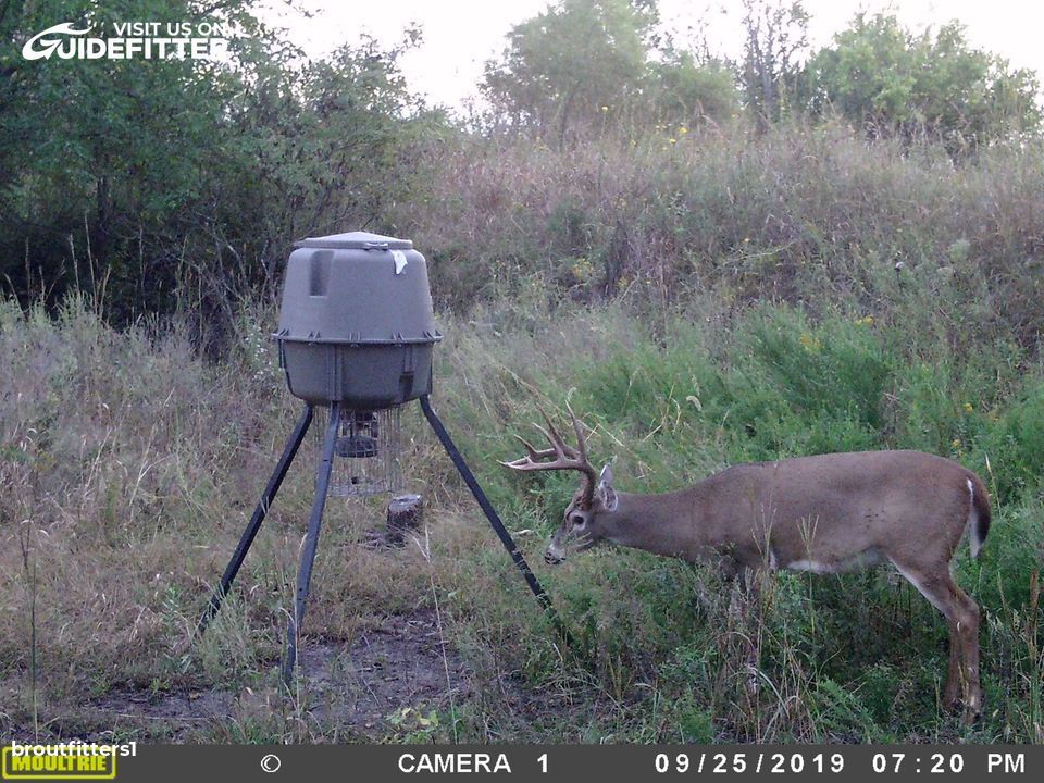 Enlarged photo by BR Outfitters