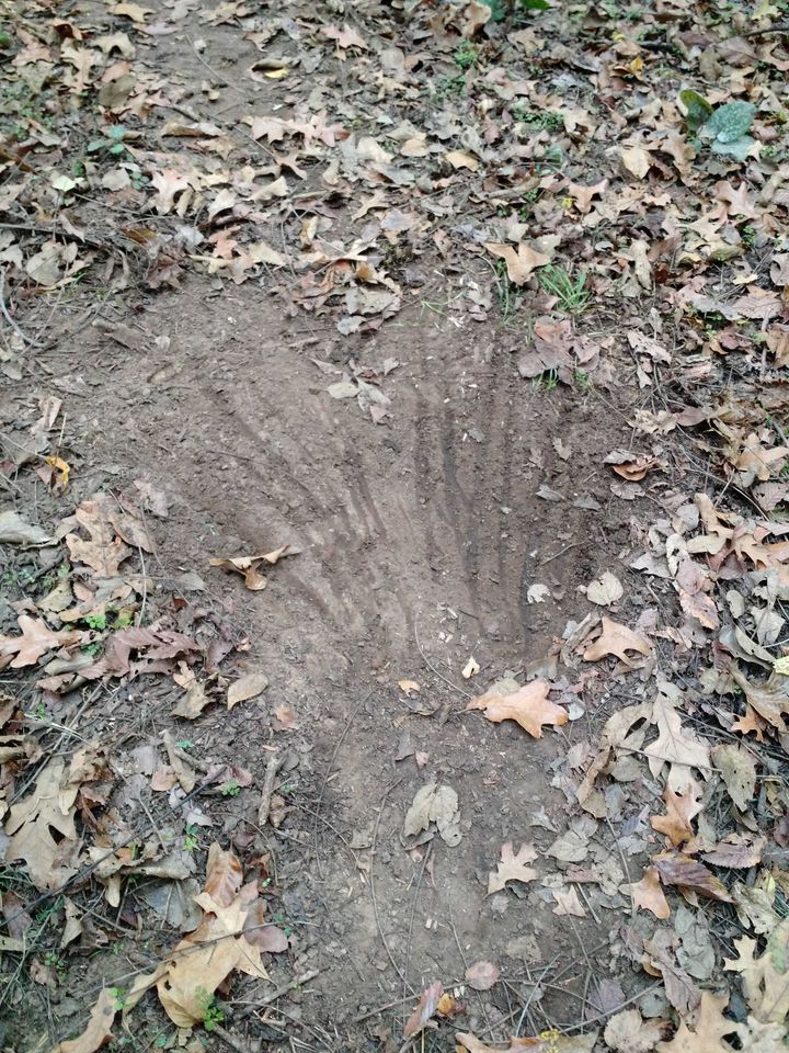 Enlarged photo by BR Outfitters