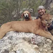 P & D Hunts