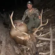 Dalton Lebeda