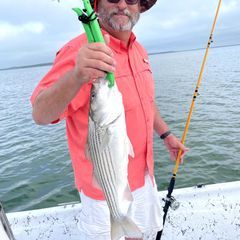 Photo by Troys Guide Service