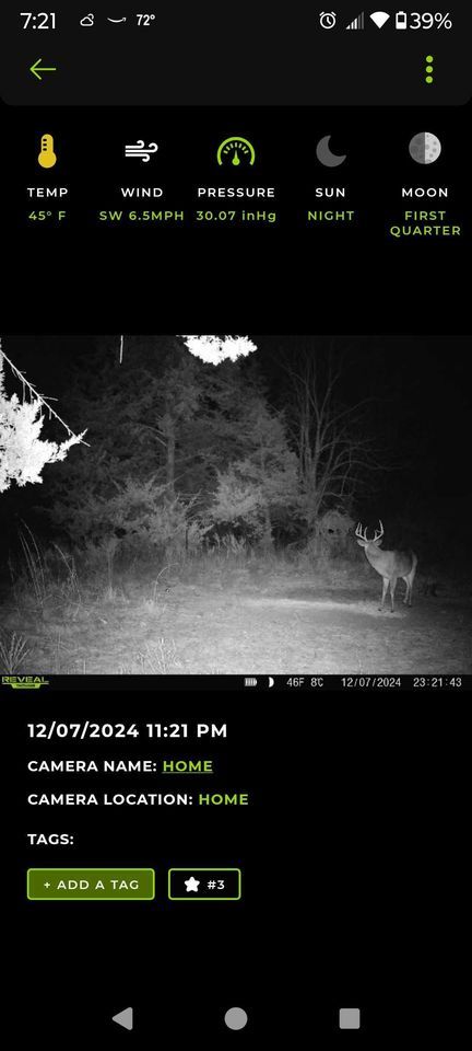 Enlarged photo by BR Outfitters