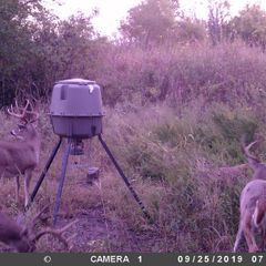 Photo by BR Outfitters