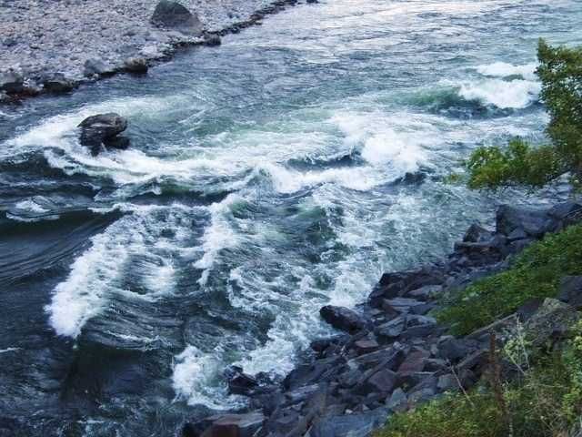 Enlarged photo by Wapiti River Guides