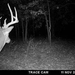 Photo by BR Outfitters