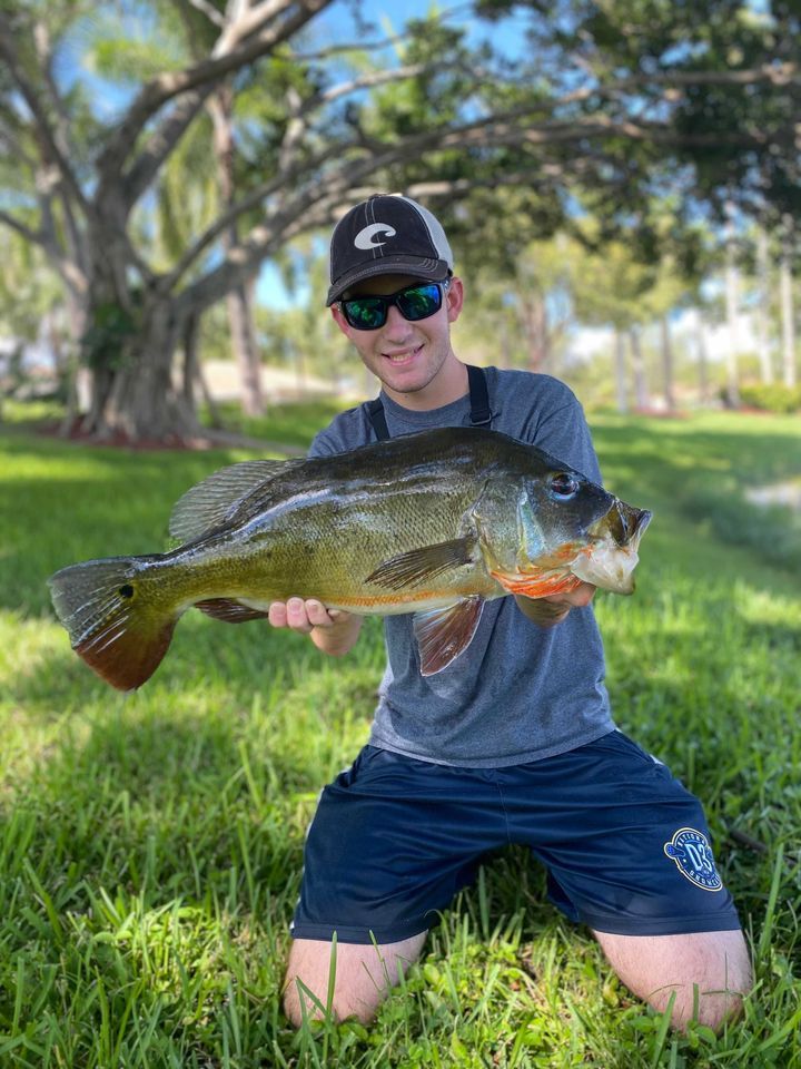 fishing.bass.45さま専用 Peacock Bass Fishing in Fort Lauderdale Florida | Fishin