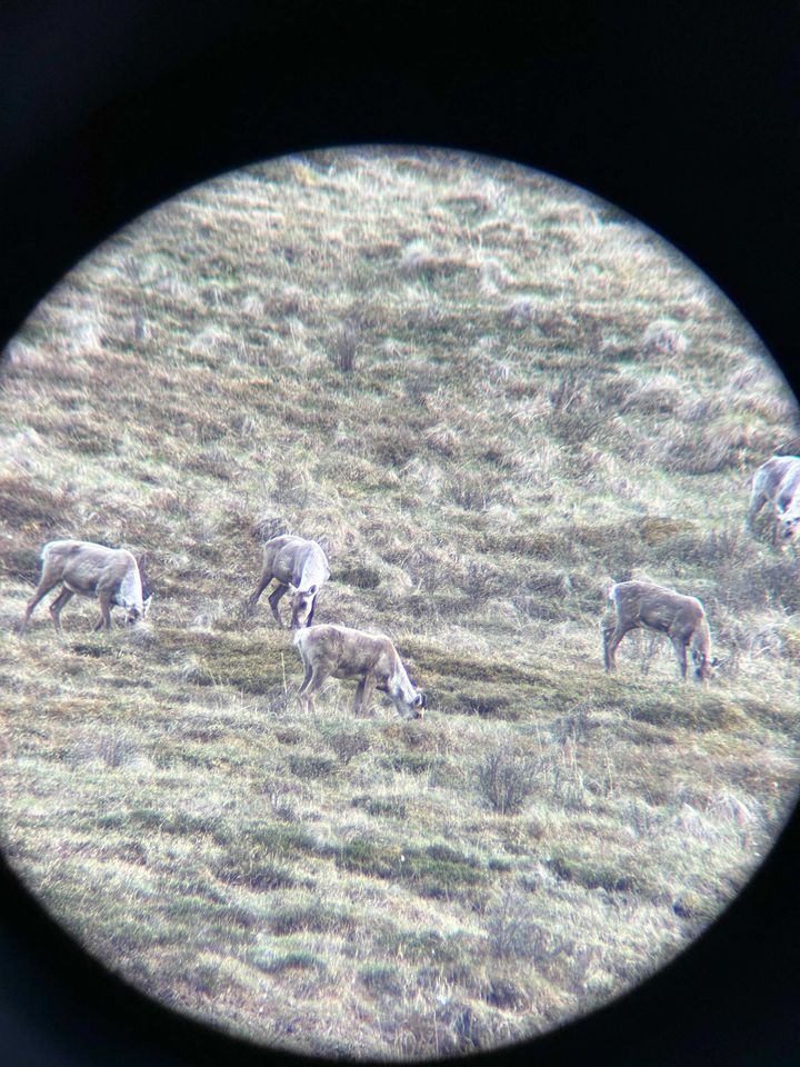 Enlarged photo by A-Team Outfitting