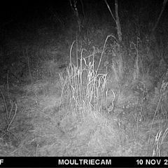 Photo by BR Outfitters