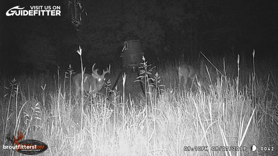 Enlarged photo by BR Outfitters