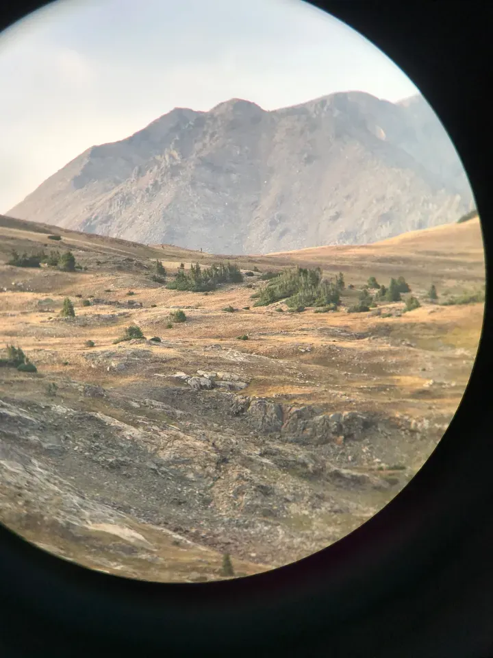 Elk on the ridgeline.