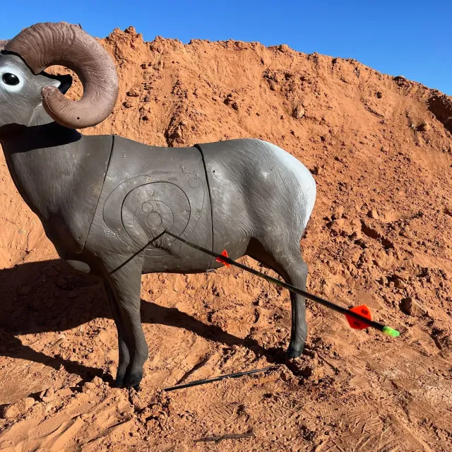 Review - Great addition to the 4-H Archery Club | Guidefitter