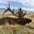 Montana Hunting & Fishing Outfitters
