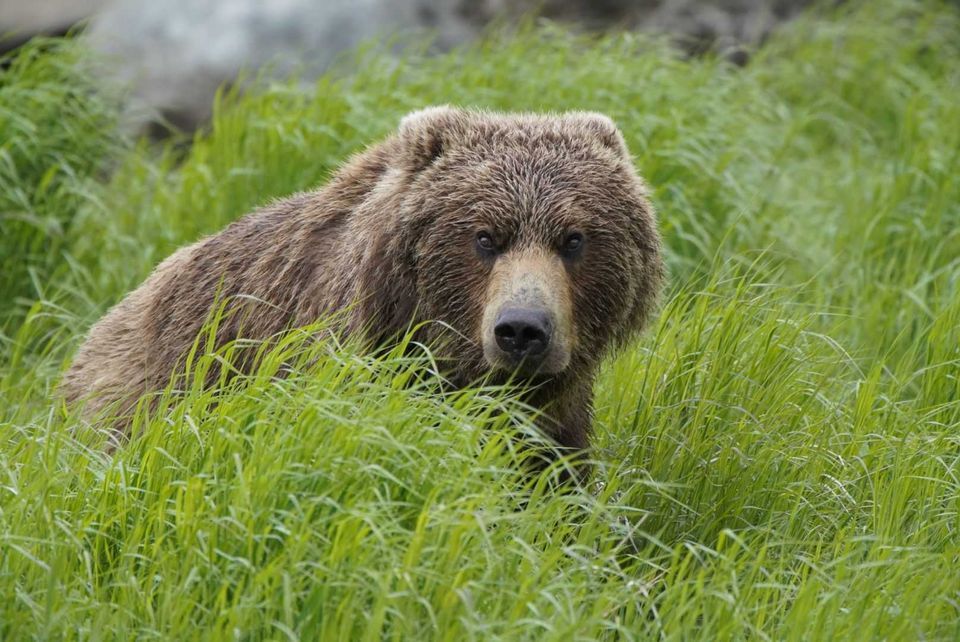 Enlarged photo by A-Team Outfitting