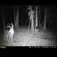 Photo by BR Outfitters