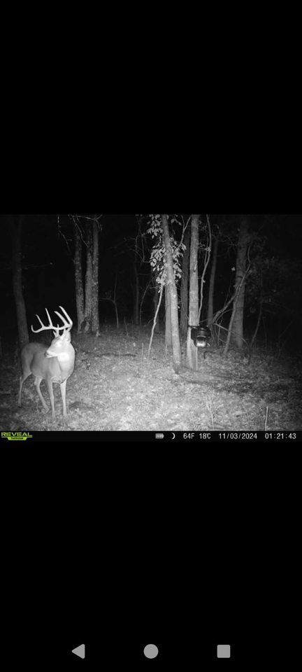 Enlarged photo by BR Outfitters