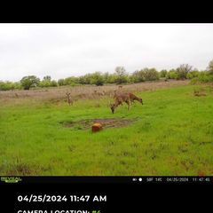 Photo by BR Outfitters