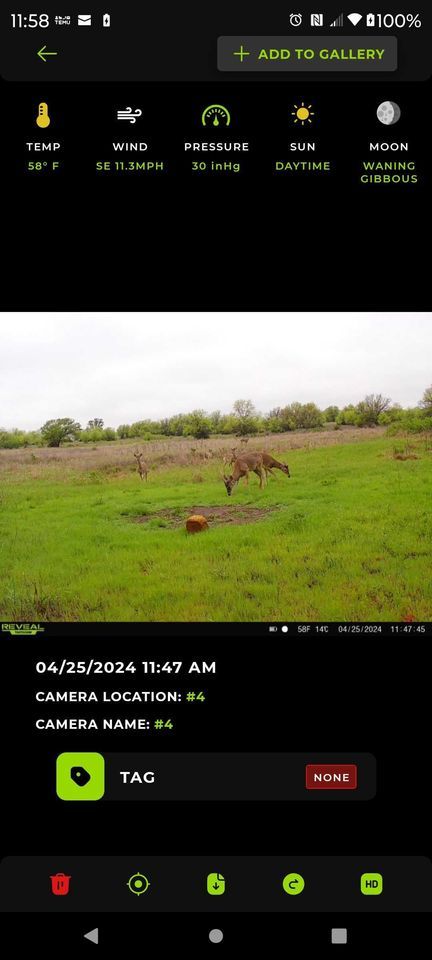 Enlarged photo by BR Outfitters