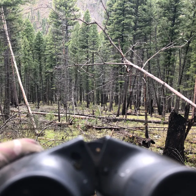 Being a backcountry hunting guide is a challenge. Being a...