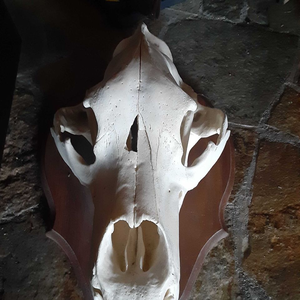 Enlarged photo by A-Team Outfitting