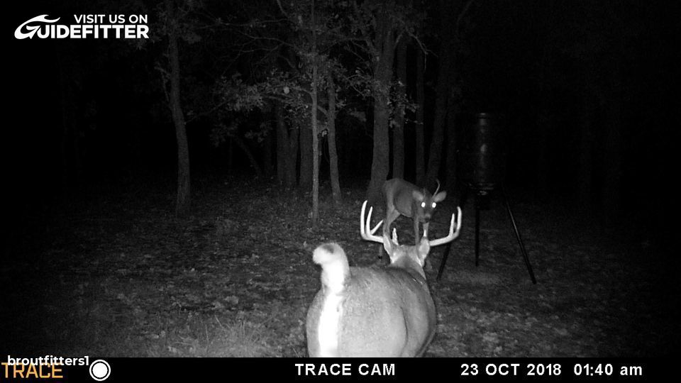 Enlarged photo by BR Outfitters