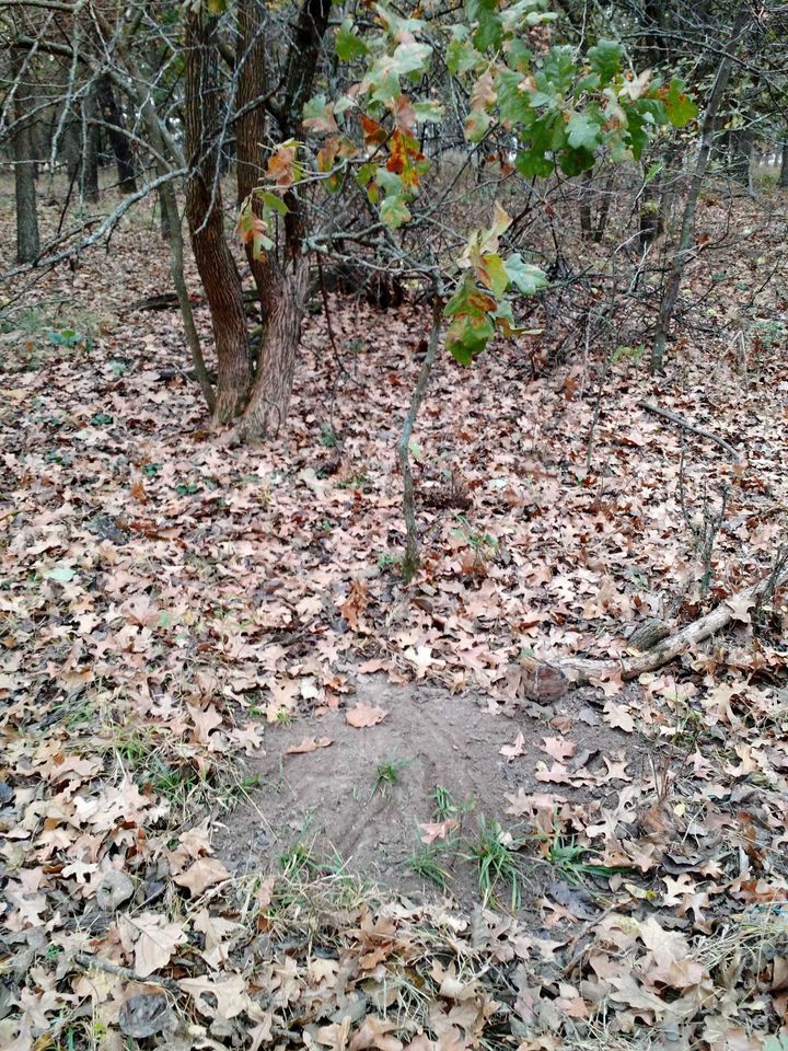 Enlarged photo by BR Outfitters