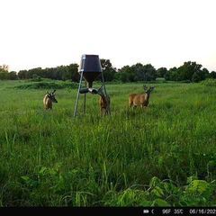 Photo by BR Outfitters