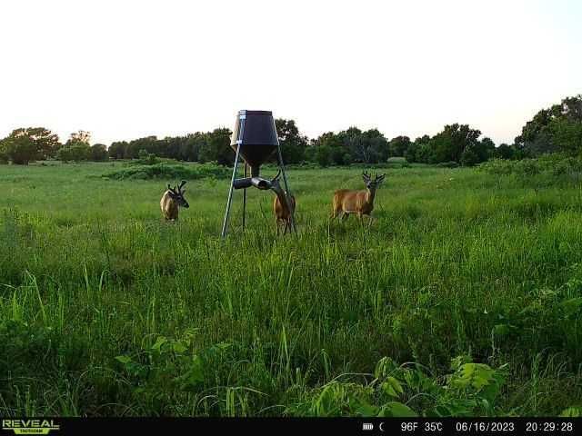 Enlarged photo by BR Outfitters