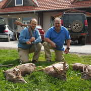 Balkan Venture Safaris