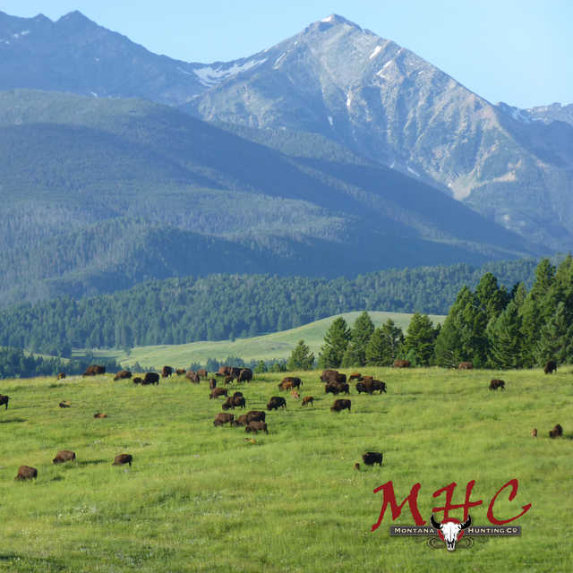 Montana Hunting Company - Bozeman, Montana | Guidefitter