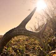 CSO Hunts by CS Outdoors
