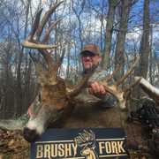 Brushy Fork Outfitters - B.F.O.