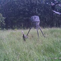 Photo by BR Outfitters