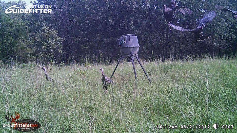 Enlarged photo by BR Outfitters